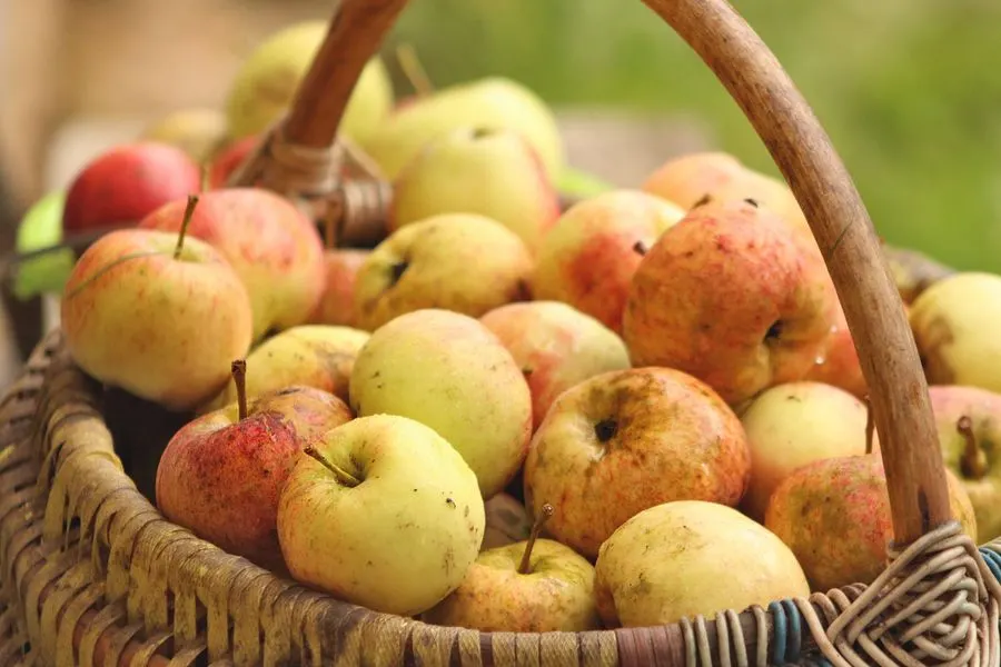 Pomme