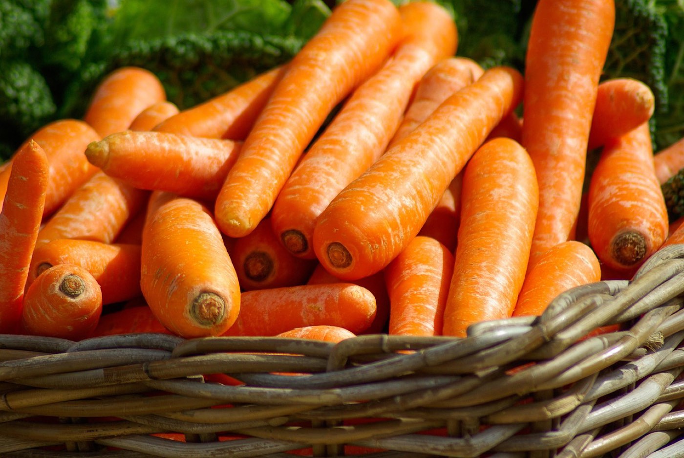 Clauses essentielles pour contrats avec producteurs locaux