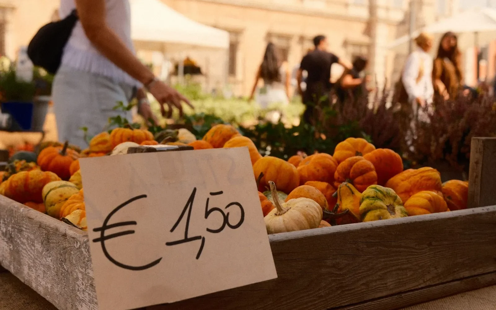 Fiches producteurs attractives pour drive et retrait magasin
