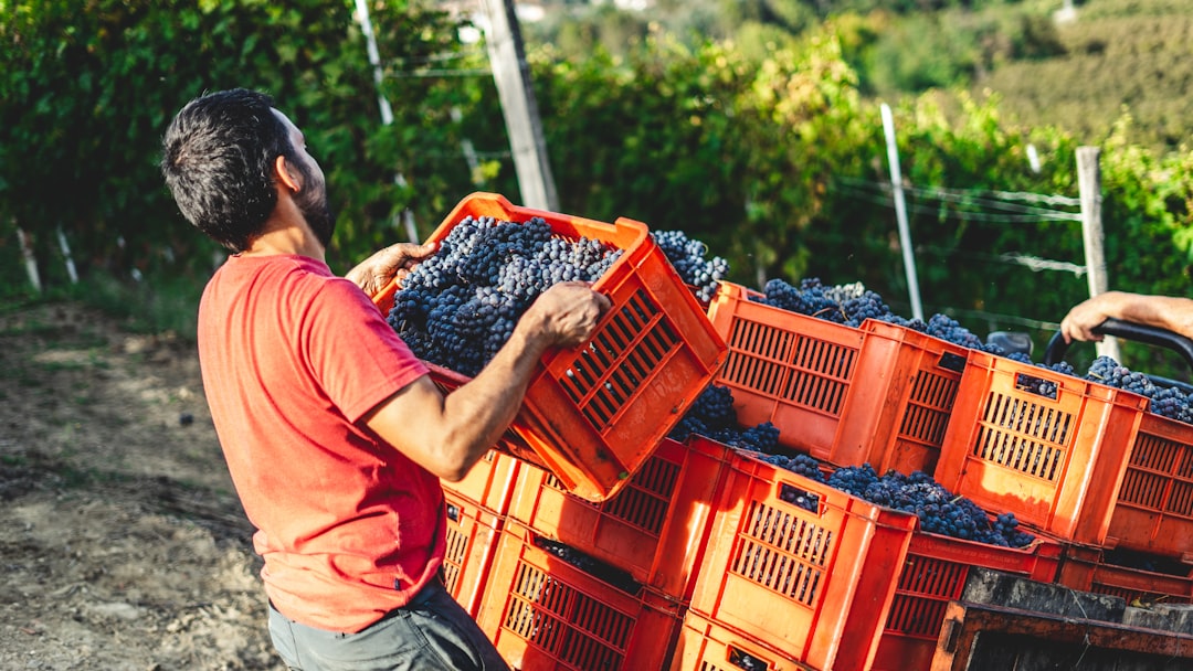 Évaluer la qualité d'un producteur local