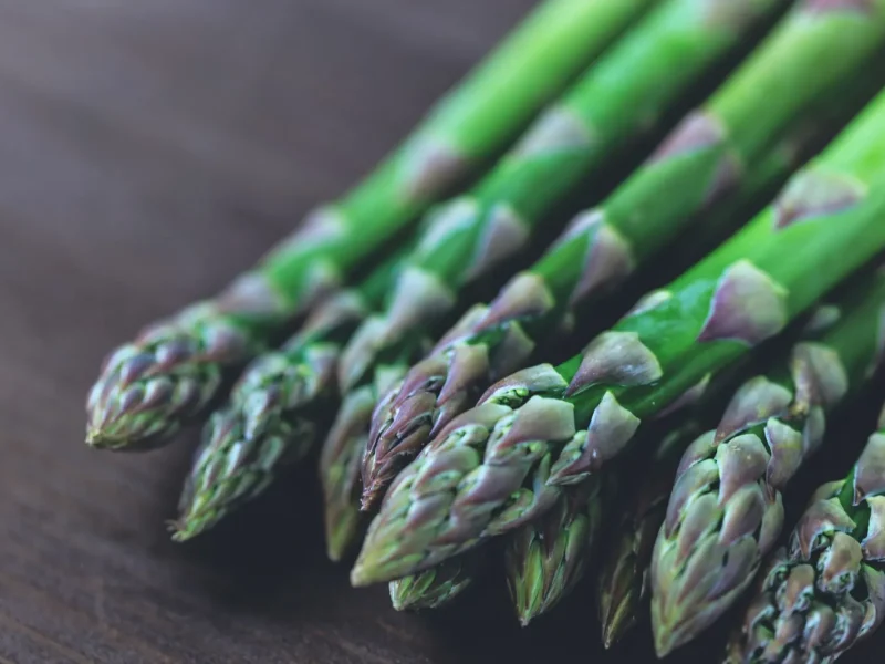 Saison des asperges en France: février à juin