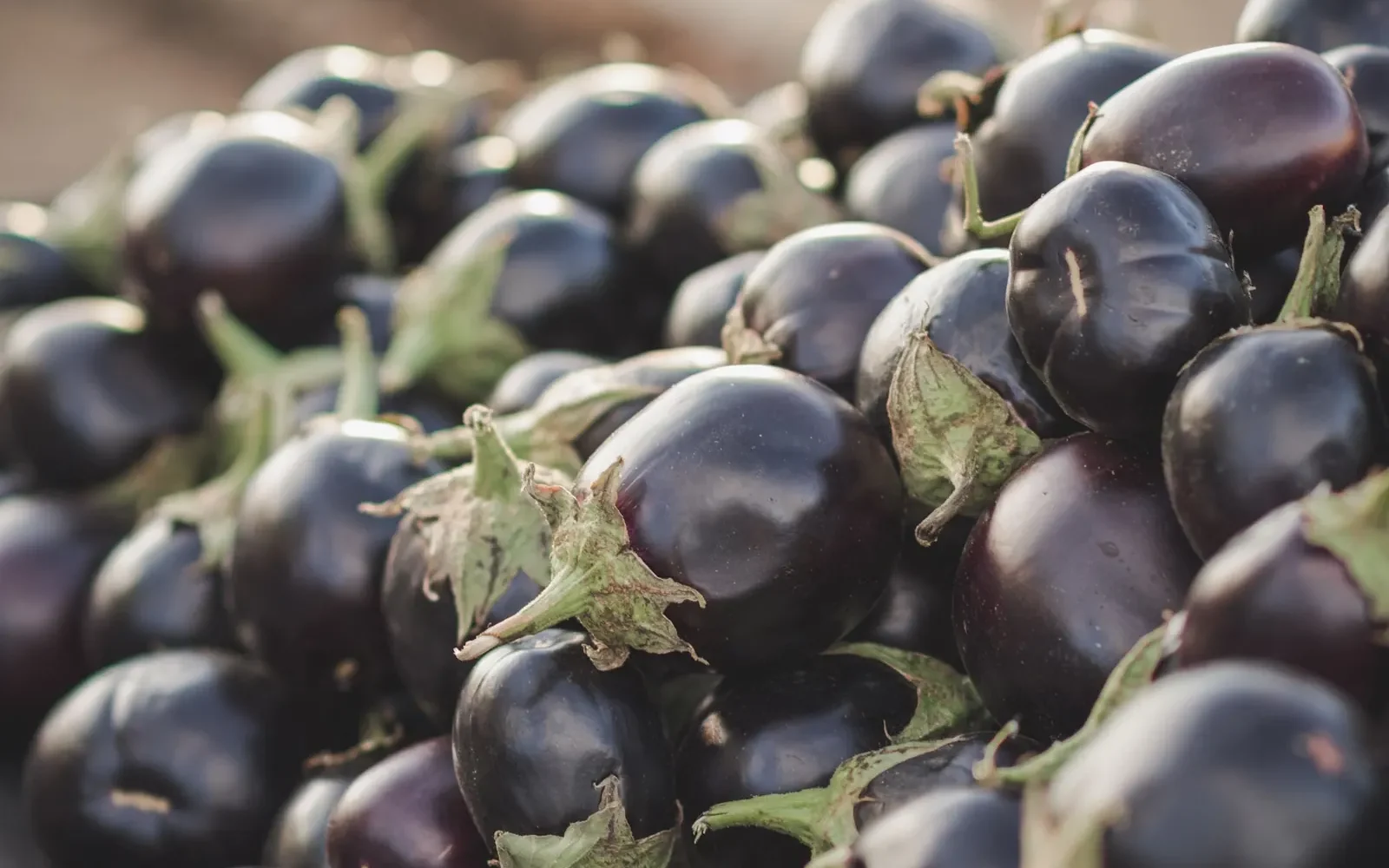 Saison des aubergines en France ⁠: mai à septembre