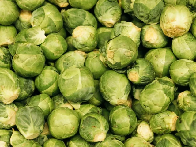 Chou de Bruxelles