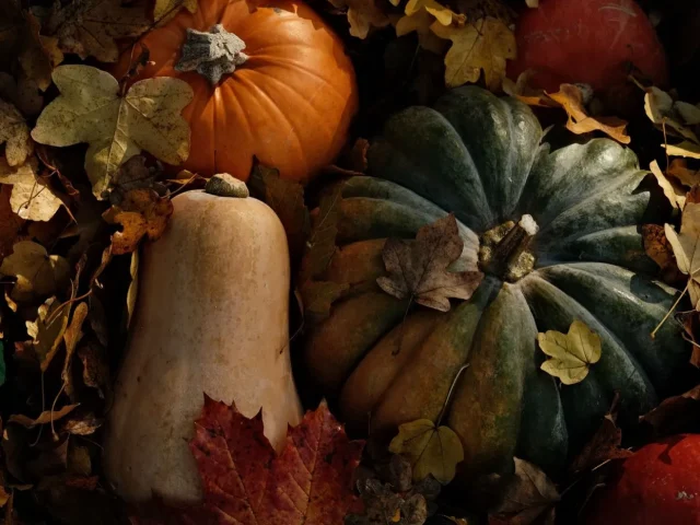 Courge butternut