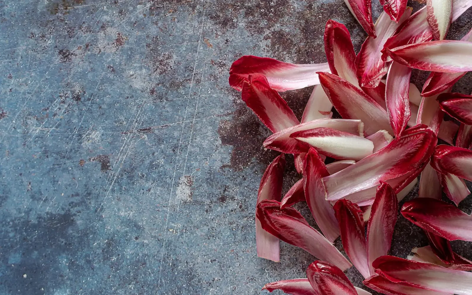 Saison des endives ⁠: octobre à mai