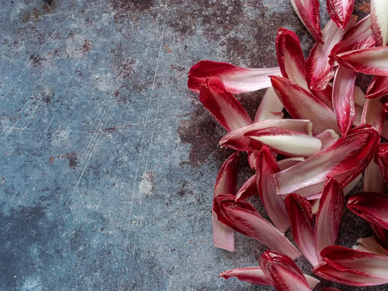 Endive