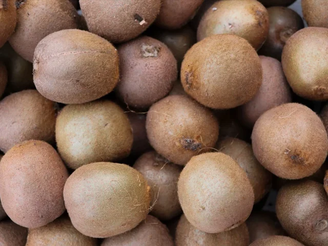 Kiwi