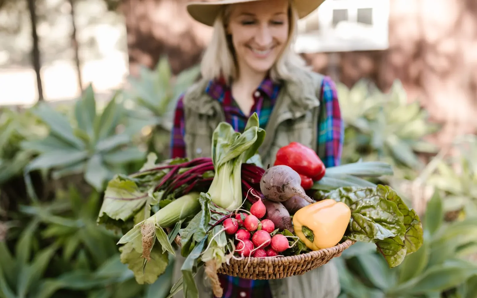 Locavore ⁠: manger local devenu ordinaire