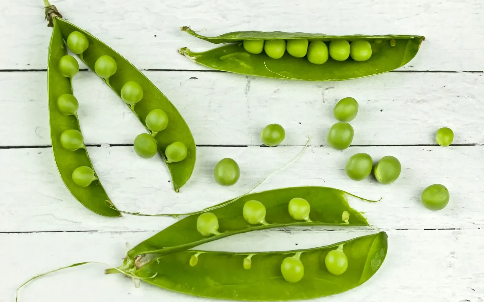 Saison des petits pois frais ⁠: mai à juillet