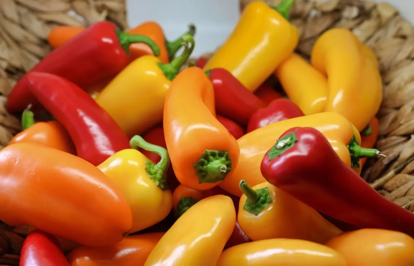 Saison des poivrons français: juin à octobre